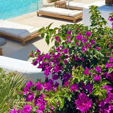 ホテル Aegon Retreat Mykonos Town